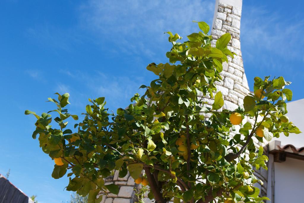 B&B La Pomelia Agrigento Exteriér fotografie